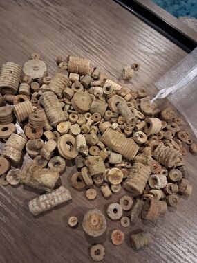 Crinoid Stem Fossils Bundle Lot 8oz Weighed Picked Fresh 09/07/2026 in KY